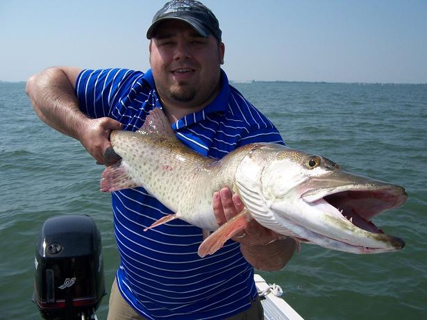 e.musky.jpg