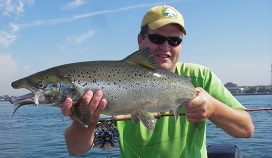 july24_report4_2009.jpg
