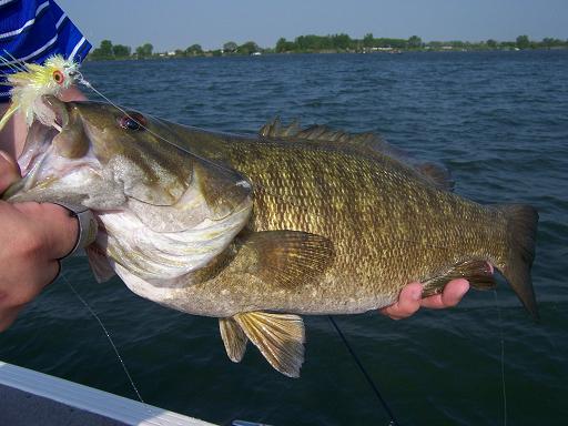 mega.smallie.jpg